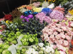 -双季花艺园艺市场(浦东店)