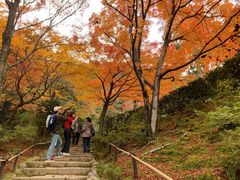 -常寂光寺