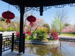 -雨花胜境