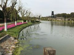 -上海鲜花港