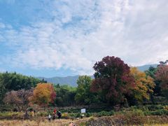 -塔川景区