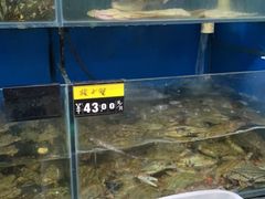 水产区-福建美食城(老君堂店)