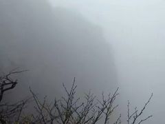 -罗田天堂寨风景区
