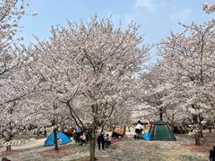 -自然谷恐龙园