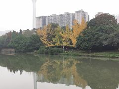 -成都市活水公园