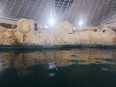 -青岛海泉湾皇冠假日度假酒店