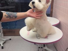 -FAELING PETS美天灵宠物(富力广场店)