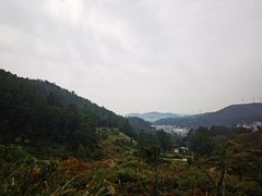-天鹿湖森林公园