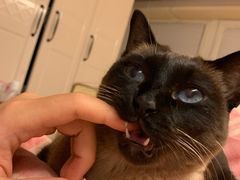 -味多美蛋糕(梨园店)