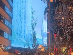 -桂满陇·海市蜃楼·黑金(国金店)