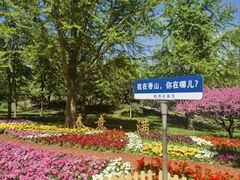 -香山公园