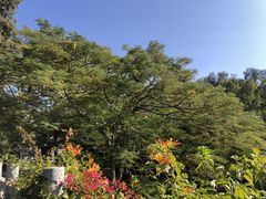 -攀枝花公园