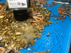 -盒马鲜生(岭南新世界店)