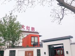 -大队长大灶鹅