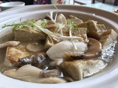 杂菌豆腐煲-长春观斋补堂素菜馆