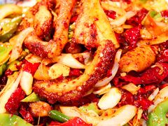 -柴窝堡22号辣子鸡·传承新疆菜