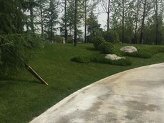 -唐城墙遗址公园
