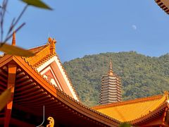 -深圳仙湖植物园