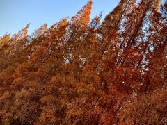 -南京金牛湖风景区