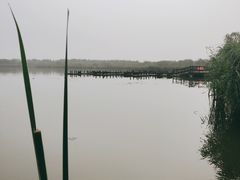 -西青郊野公园