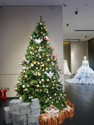 点击看大图 -MuseMarry婚纱(前海嘉里中心店)
