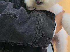 -BABIT巴比特宠物(MOMOPARK店)