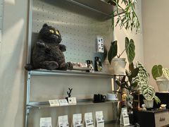 -Dogi&kiki Coffee(中心商务大厦店)