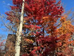 -轻井泽王子购物广场