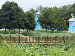 -宜兴龙背山森林公园