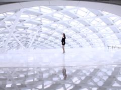 -凤凰中心