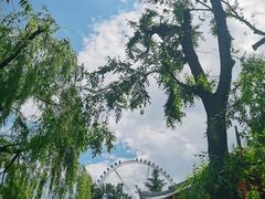 -哈尔滨极乐寺