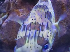 -成都浩海立方海洋公园