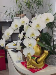 -JOLIN玖灵美甲美睫沙龙