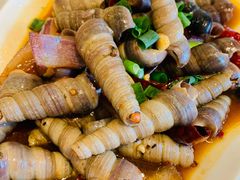 辣炒丁螺-华盛丰温州大排档(东三环南路店)