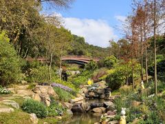 -云溪植物园