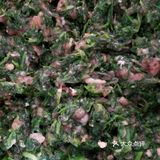 美味荠菜鲜肉饺子