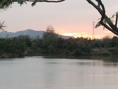-日照海滨国家森林公园