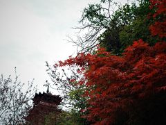 -杭州半山国家森林公园