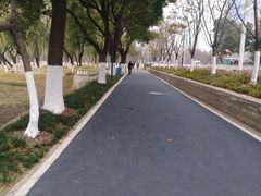 -西北湖绿化广场