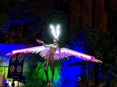 -锦江乐园舞狸花花游园会(夜场专享)