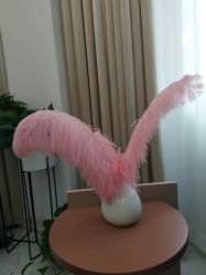 -新蝶变皮肤管理中心