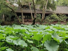 -成都武侯祠博物馆