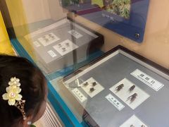 -上海昆虫博物馆
