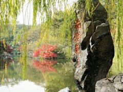 -西湖外事游船(花港观鱼码头)