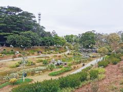-东莞植物园