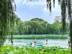 -WhaleSports户外水上运动俱乐部(朝阳公园店)
