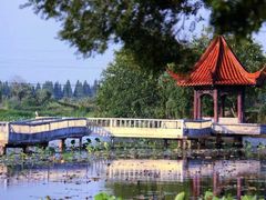-陶辛水韵