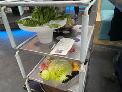 -王家渡火锅店(棕榈泉店)
