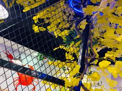 -特色酱椒鱼私房菜(黄鹤楼店)