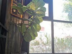 靠窗位-旧雨咖啡·CoffeeFORU(黄村奥体店)